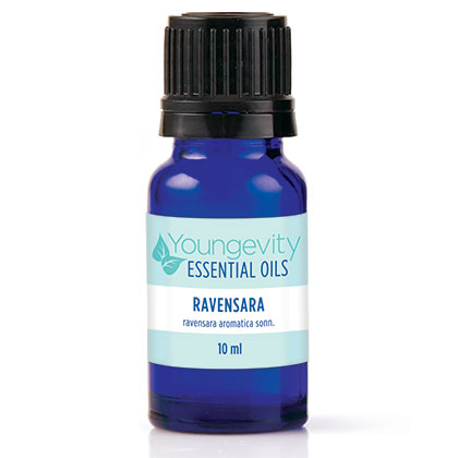 Ravensara Essential Oil – 10ml